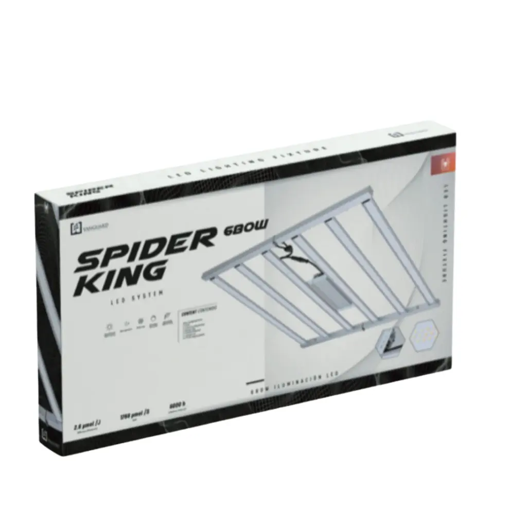 spider-king-680w (1).webp