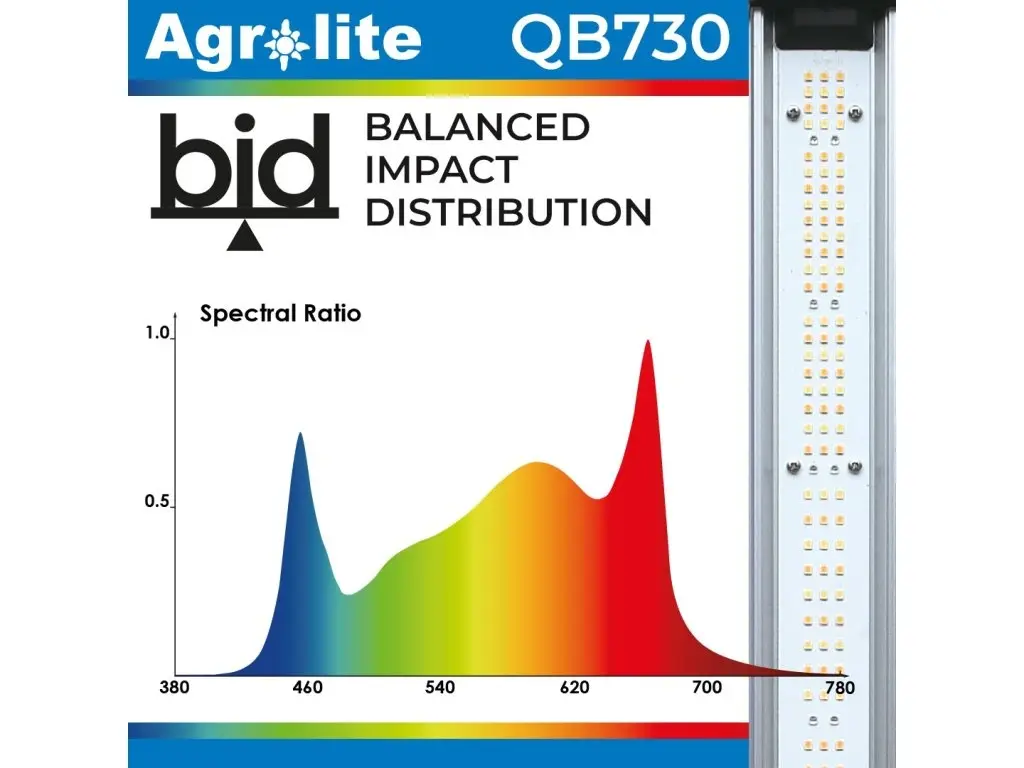 31742-2_41154-2-agrolite-led-qb-730w-2-9-qmol-j.webp