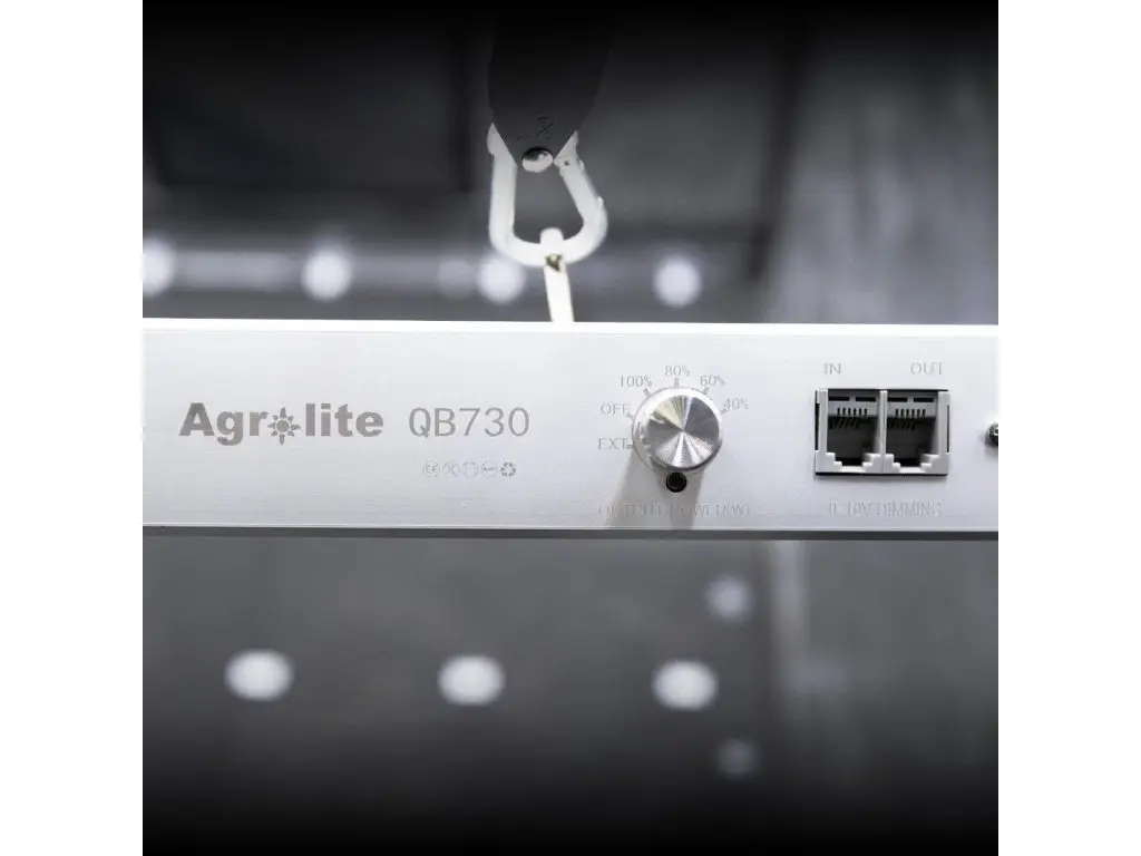 31742-8_41154-8-agrolite-led-qb-730w-2-9-qmol-j.webp
