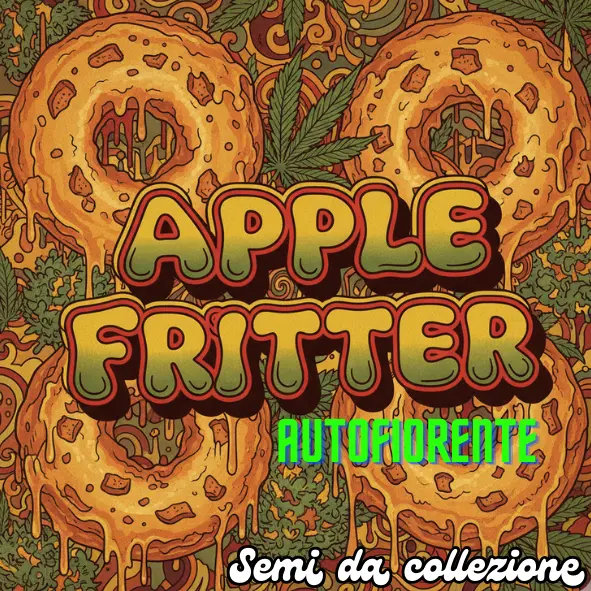 Apple Fritter 3 Semi da collezione Autofiorente 
