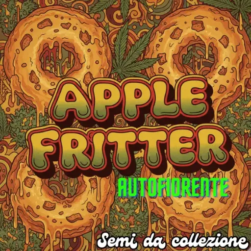 Apple Fritter 3 Semi da collezione Autofiorente 